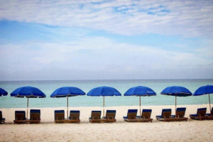 File Nov 14 2022, 6 41 57 PM