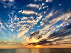 File Nov 14 2022, 6 51 59 PM